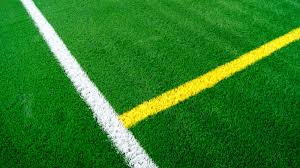 Sports turf 